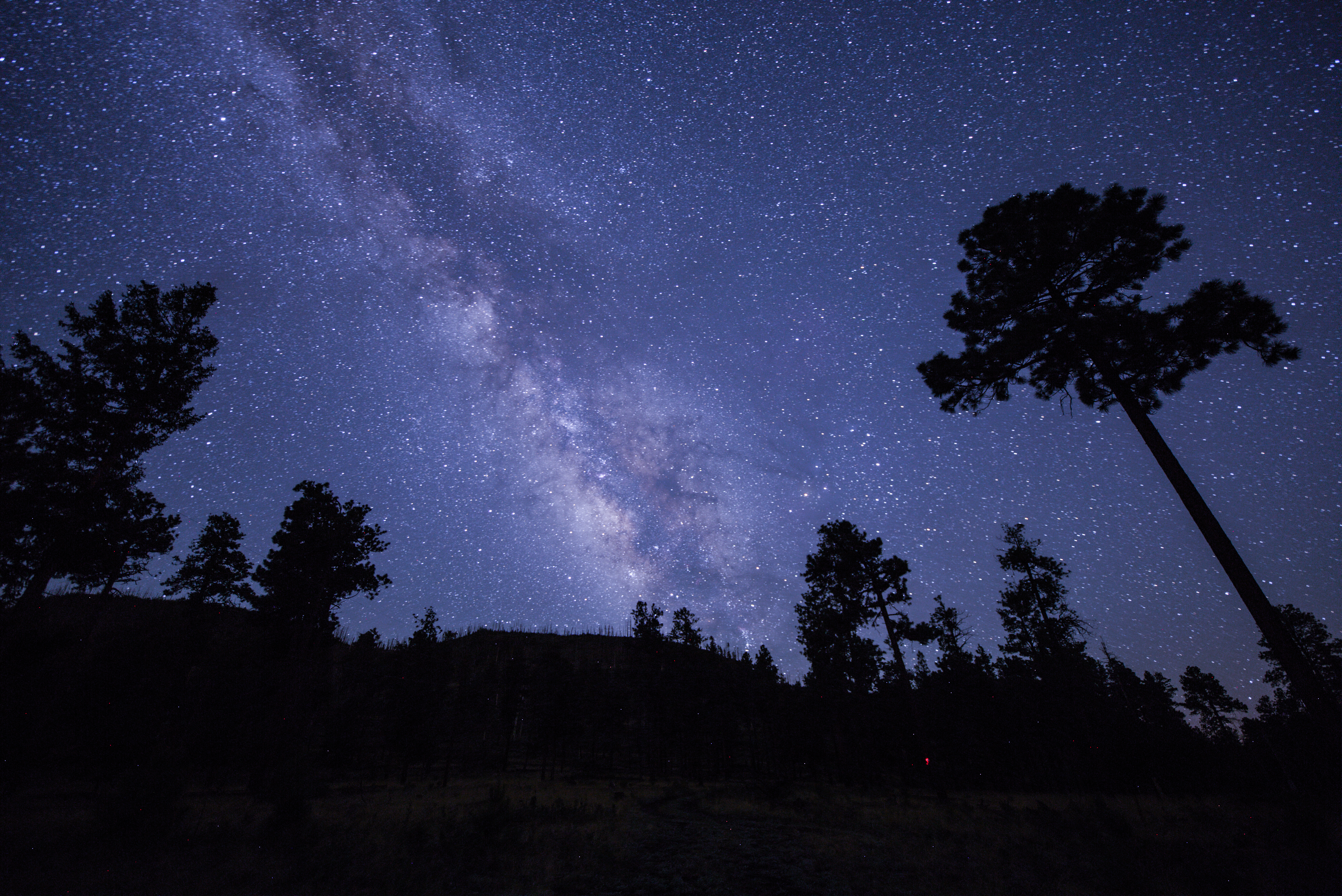 Cover photo for Kyle Olson